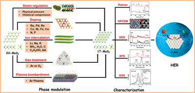 Recent progress of electrochemical hydrogen evolution over 1T-MoS2 catalysts